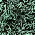 bamboe short met print