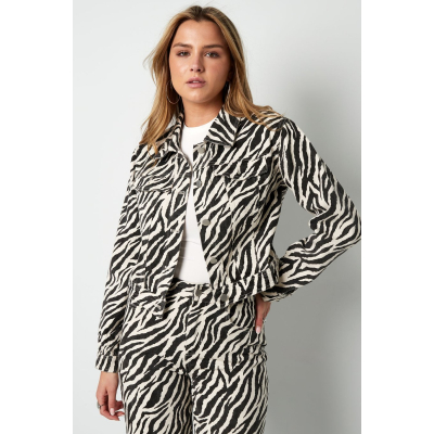 zebra jacket zebra jacket