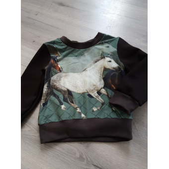 sweater paarden