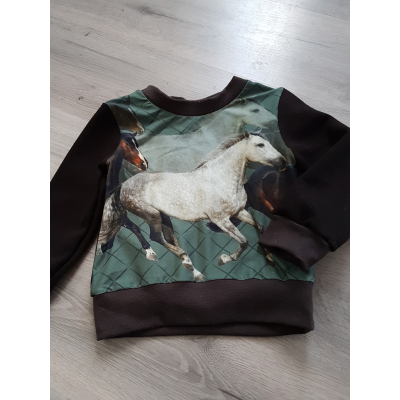 sweater paarden